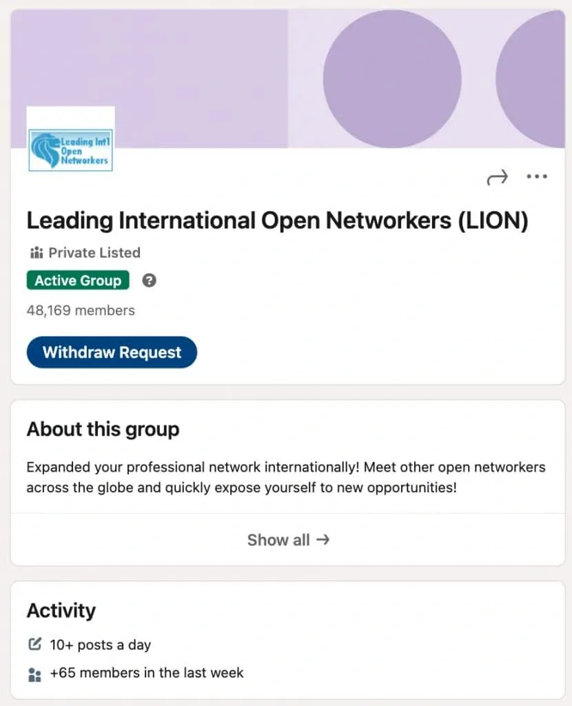 Professional groups on LinkedIn LION groups