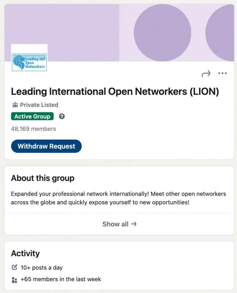 LinkedIn LION groups example Leading International Open Networker