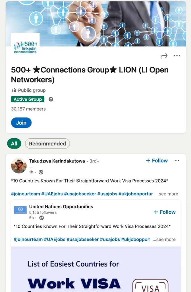 LinkedIn LION groups example 500+ Connections Group