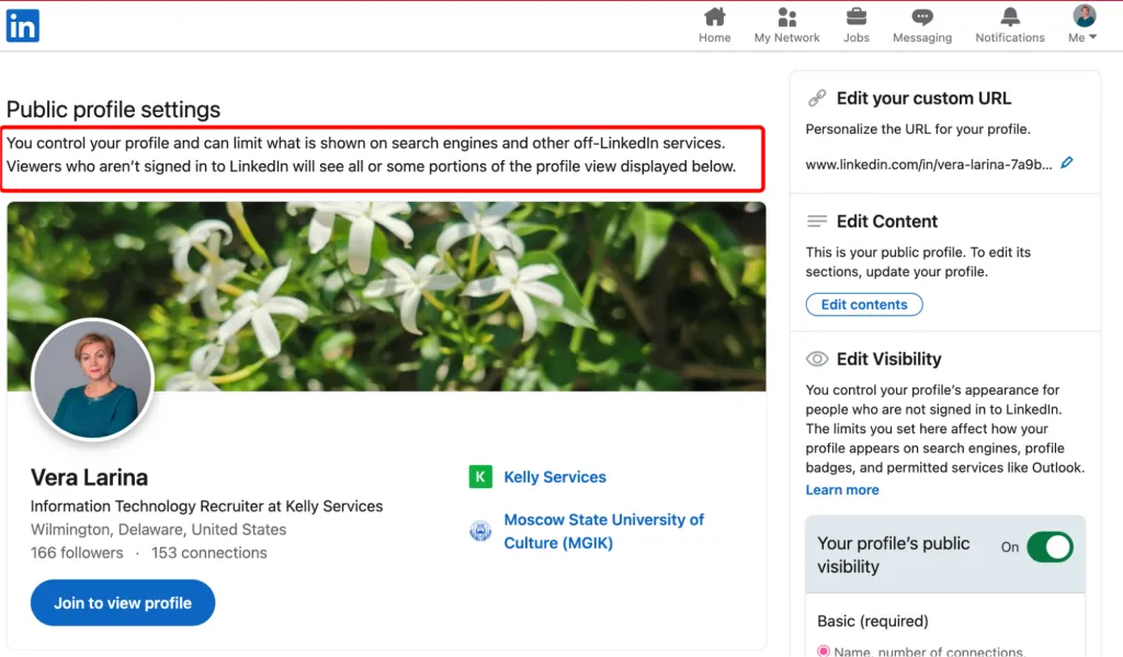 view profile LinkedIn – profile display button example